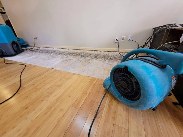 Professional Basement Flood Cleanup technician working in Benson, UT